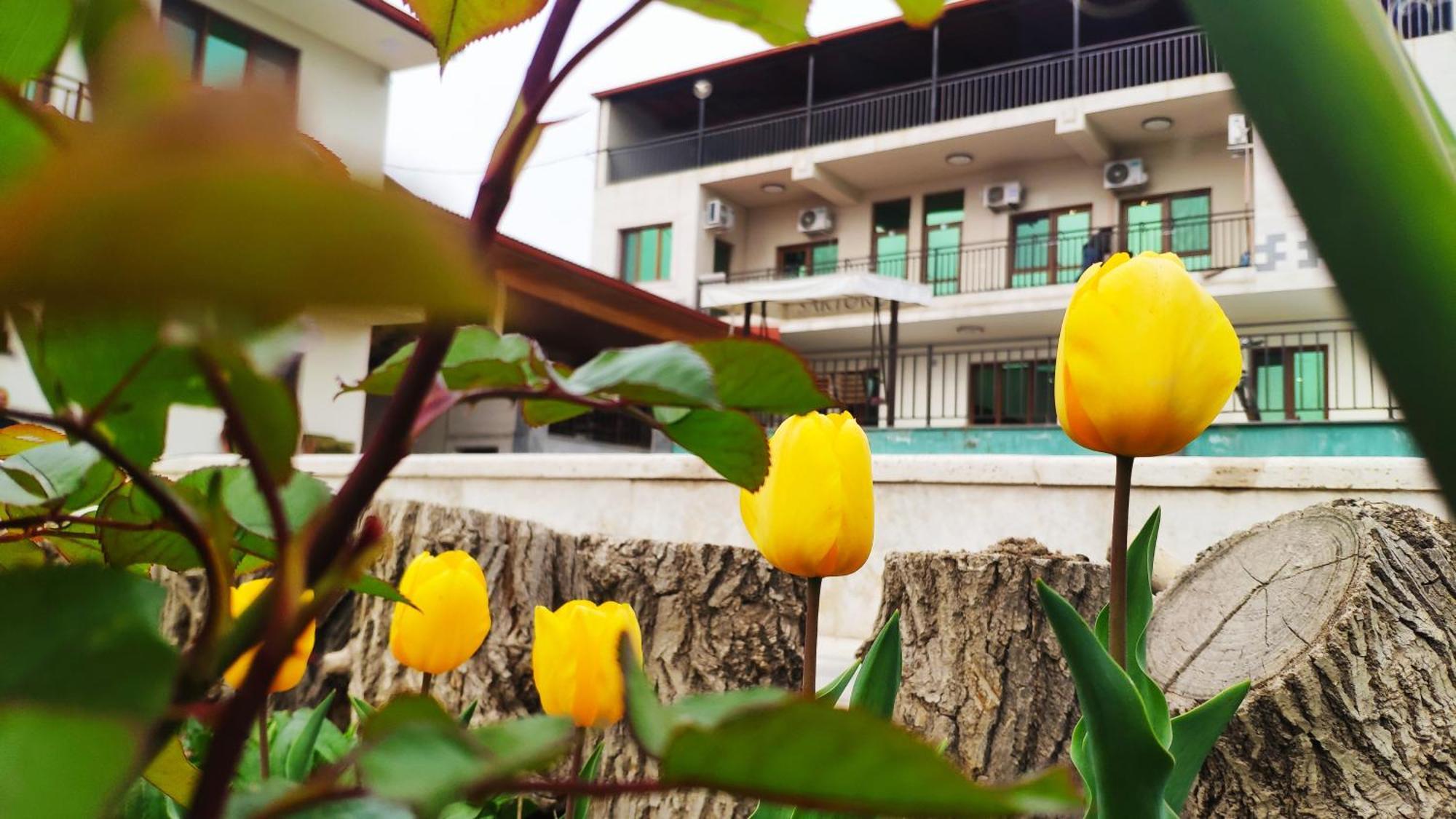 Apex Rest House Of 10 Rooms And Pool 예레반 외부 사진